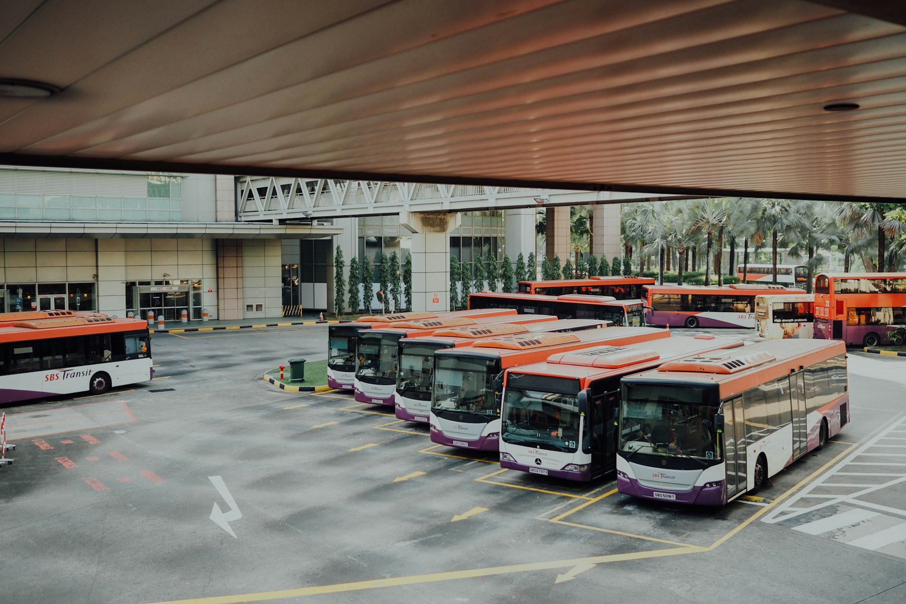 Coaches parked at a depot, representing bus and coach body repairs